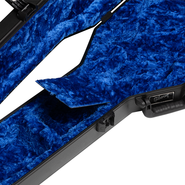 196-deluxe-protector-case-les-paul-asprcase-lp-1.png