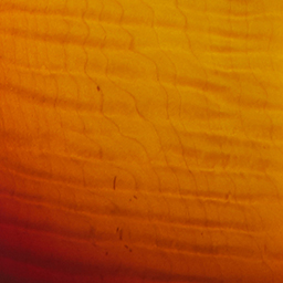 60th Anniversary 1960 Les Paul Standard - V1-Deep-Cherry-Sunburst