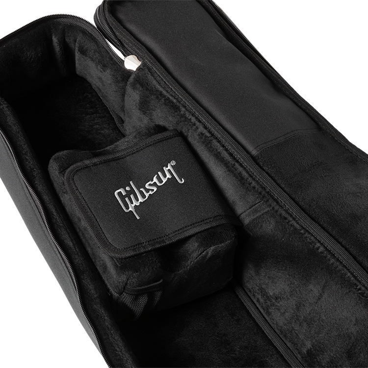 50-premium-gig-bag-small-body-aspgig-lg-1.png