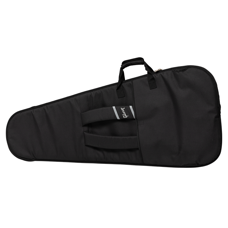 68-premium-gig-bag-designer-aspgig-des-1.png